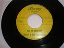 45 JIMMY & THE MUSTANGS  - TRY TO LOVE ME (CHARAY C-72) RARE TEXAS USA GARAGE