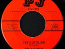 45RPM GARAGE BAND MALIBUS PJ 1004