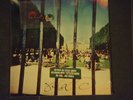 Tame Impala ?– Lonerism signed autographed 2LP + badge set