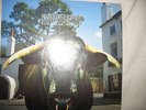 Swervedriver Mezcal head vinyl LP.
