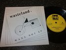 WASTELAND Want Not EP UK 1979 Punk KBD Powerpop Ellie Jay UNPLAYED Sex Pistols