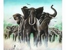 Elvis Costello / Armed forces / MFSL