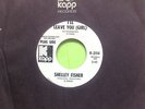 Shelley Fisher - I'll Leave You Girl - Northern Soul Funk