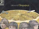 GRAPEFRUIT Around UK PSYCH FREAKBEAT FUZZ  orig LP listen hear M-
