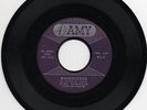 Stan Robinson 45 on Amy Rhinoceros / Can She Give You Fever R&B Popcorn Soul VG+