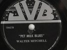 Hear Rare Blues 78 rpm WALTER MITCHELL 