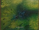 The Colours - S/T - Private '69 Texas Folk Rock LP on Century - Dylan cover