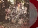 PUNK 2 LP La Dispute WILDLIFE clear + red vinyl NM on NO SLEEP