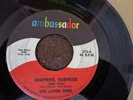 GARAGE/FUZZ 45,THE LOVED ONES,AMBASSADOR-212,SUPRISE,SUPRISE(FOR YOU)