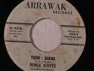 rare Soul R&B Instro 45 NOBLE WATTS teen-scene ARRAWAK Listen
