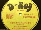 Roman Stewart - What You Wanna Do  -killer 12