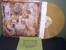 MeWithoutYou 
