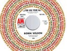 Robin Wilson - Better use Your Head - AM Promo