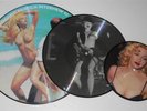 SET OF 3 SCARCE MADONNA PICTURE DISCS, PUSSY 1 EROTICA INTERVIEW 92, TWO OTHERS