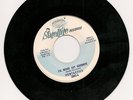 VONTASTICS - I'LL NEVER SAY GOODBYE / DON'T MESS AROUND