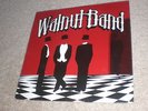 SEALED Walnut Band Go Nuts Super Rare Private Press Southern Rock Psych LP Dead
