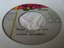 Junior Brammer Warm & Sunny Day Killer Digi Roots 7
