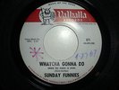 1967 CALIF. GARAGE-SUNDAY FUNNIES-WHATCHA GONNA DO-VALHALLA 671