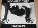 SACCHARINE TRUST - Pagon Icons  LP Original SST 006 with Insert No Bar Code