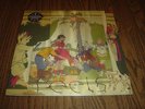 Animal Collective – Feels 2 LP Vinyl Record 180g DMM