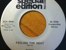 Burk Feeling the Beat / Rock & Roll Fever PRIVATE Hard Rock Punk DIY Fuzz HEAR