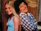 CHRIS KNIGHT & MAUREEN McCORMICK LP Brady Bunch Sunshine Pop RARE