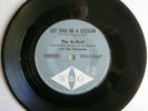 45 vinyl The In-sect..This will be a lesson(incredibly rare)