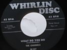 THE CHANNELS FAST VERSION WHIRLIN DISC I REALLY LOVE YOU/WHAT DO YOU DO