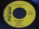 Dramatics   All Because of You   Sport   Detroit northern soul 45 HEAR ?