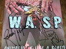 W.A.S.P. - Animal - w/ autographs - UK Import Vinyl 12