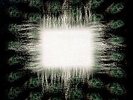 Tool Aenima 2x LP NEW Color Vinyl Record 10,000 Days Salival Ænima EU Pressing