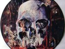 SLAYER - SOUTH OF HEAVEN - RARE LIMITED EDITION PICTURE PIC DISC VINYL LP