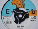 SKINHEAD REGGAE / PAMA 1969 / CAMEL 29 / Cat Nip - The Hippy Boys BOSS KILLER
