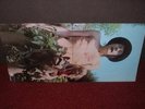 FLEETWOOD MAC Mr Wonderful LP 1968 MONO 1st BLUE HORIZON
