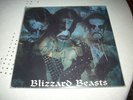IMMORTAL:Blizzard beasts signed original lp SATYRICON,MAYHEM,DARKTHRONE,BURZUM