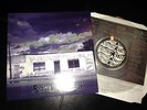Swingin utterS S/T LP Clear/220 Fat NOFX Bad Religion Pennywise Rancid punk