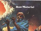 RAW MATERIAL on EVOLUTION  UK PSYCH PROG EX- original LP 1st