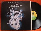 SATIN WHALE / Whalecome / 12