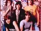 AC/DC Live LP ACETATE No Wuckin Furries, neu, nie gespielt, inkl CD