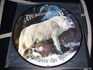Destroyer 666 - Unchain the wolves Picture LP  - RARE - Darkthrone - Desaster