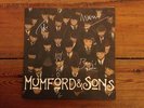 Mumford & and sons 10