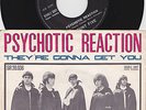 COUNT FIVE Psychotic Reaction Top Rare 7