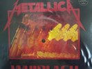 Metallica Picture Disc Limited Edition