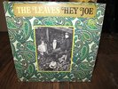 1966 THE LEAVES   HEY JOE   GARAGE Fuzz Folk Rock LP MONO Original