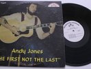 ANDY JONES The First Not The Last LP private folk psych BROUGHAM acid archives