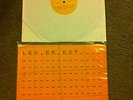 LED ER EST - Dust On Common (Vinyl LP OOP) minimal synth Wierd Records Cold Cave