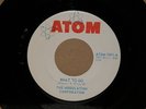 MODULATION CORPORATION WHAT TO DO orig G45 GARAGE PROG PSYCH 7