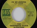 Garage 45 THIRTEENTH FLOOR ELEVATORS I've Got Levitation IA HEAR