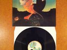 NICK DRAKE - PINK MOON LP VINYL JEFF BUCKLEY TOM WAITS CONNY OCHS CD