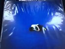 Gibby Haynes Flex Ray X-Ray Third Man Records TMR SXSW RRS Rolling Record Store